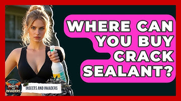 Where Can You Buy Crack Sealant? - Insects and Invaders