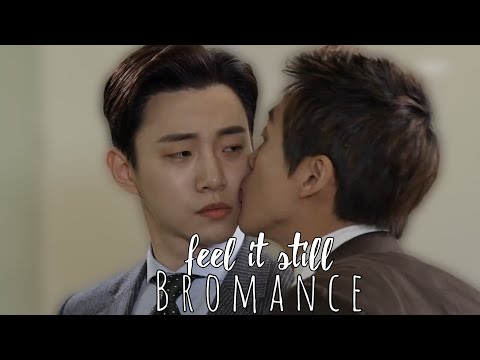 Multifandom| Bromance