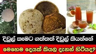 හෙළ ආයුරේදයේ ප්‍රබල ඔසුවක් වන දිවුල් | Wood Apple | Gossip Lanka screenshot 5