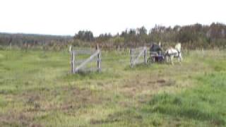 100_0666.MOV