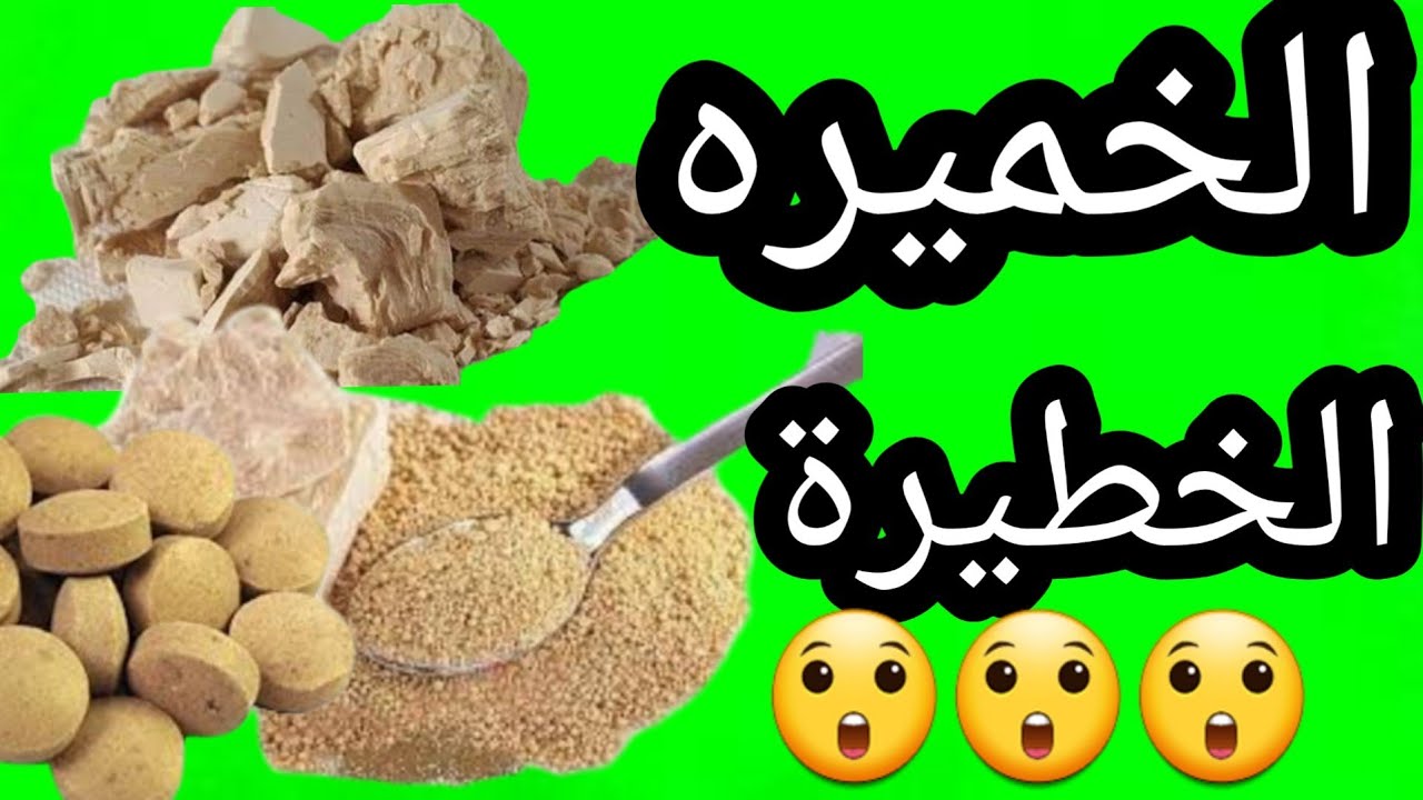 الخميره!! الخطيرة !!!! السحر الطبيعي 🤔 وأهم فوائدها بالنسبة للطيور والكتاكيت 🔥💪👌