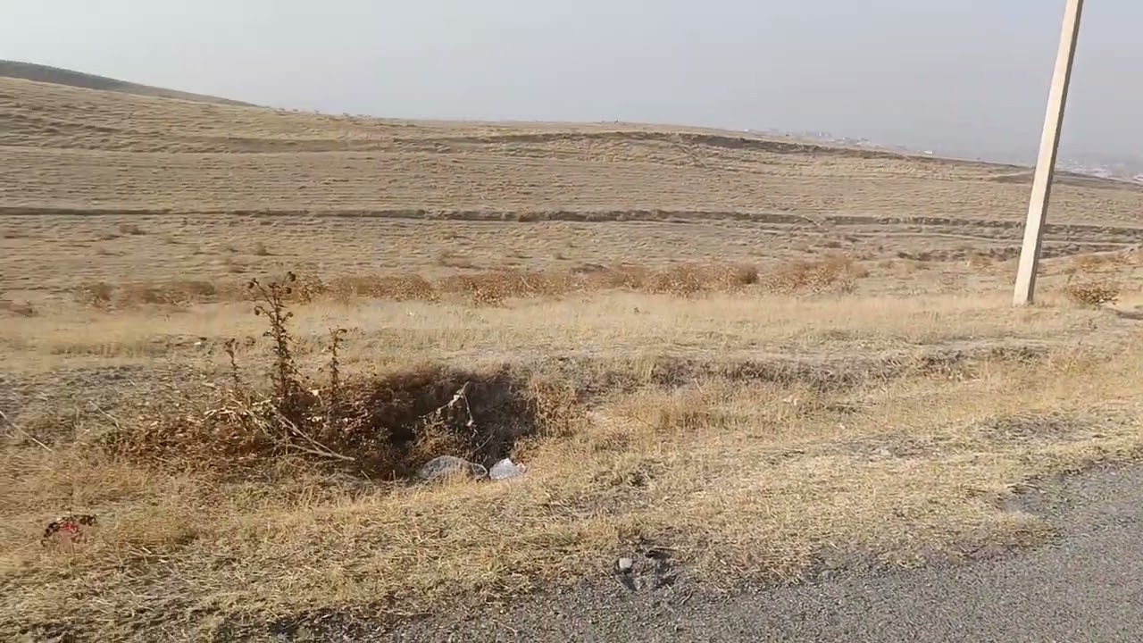 Ош.Мады Айылынан жер участок сатылат 