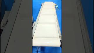 Take Off Conveyor | Arceus India, Pune, Maharashtra