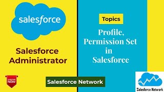 Famous Profile in Salesforce, Permission Set in Salesforce, How to create Profile in Salesforce Profile