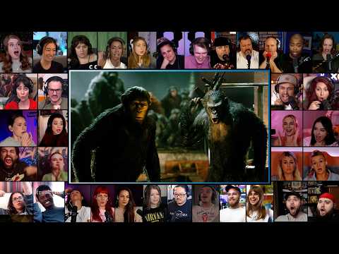 Caesar vs Koba Final Fight | Dawn of the Planet of the Apes (2014) Reaction Mashup