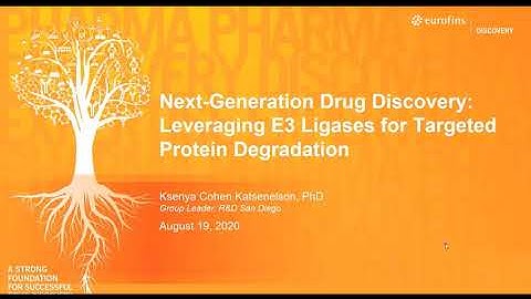 Next-Generation Drug Discovery: Leveraging E3 Ligases for Targeted Protein Degradation