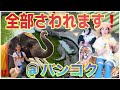 【閉園】バンコクから電車で行けるワニ動物園レビュー！象にも乗れます！トラも触れます！ เที่ยวฟาร์มจระเข้สมุทรปราการ ＠クロコダイルファームサムットプラカーン