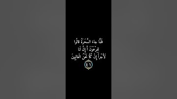 تلاوة عطرة بصوت الشيخ عبدالله الموسى من سورة الشعراء
