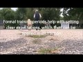 Training Anti Social Dogs, Timid, Fearful Dogs. Dogs 4 Life Training St. Charles IL. Training Anti Social Dogs, Timid, Fearful Dogs. Dogs 4 Life Training St. Charles IL.