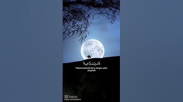 فٱصبر صبرآ جميلاً.تلاوه خاشعه تلامس شغاف القلوب #القرآن_الكريم #القران #لايك #اكسبلور