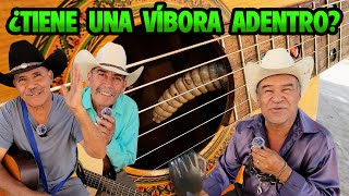 EL CASCABEL DE UNA VIBORA es el SECRETO DE MI GUITARRA