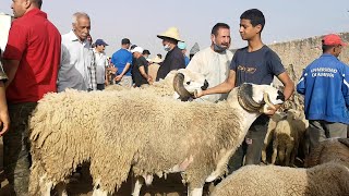 سوق أحد بن سودة فاس 2020/07/05 خيال العيلمي تحوالى مع اثمنة