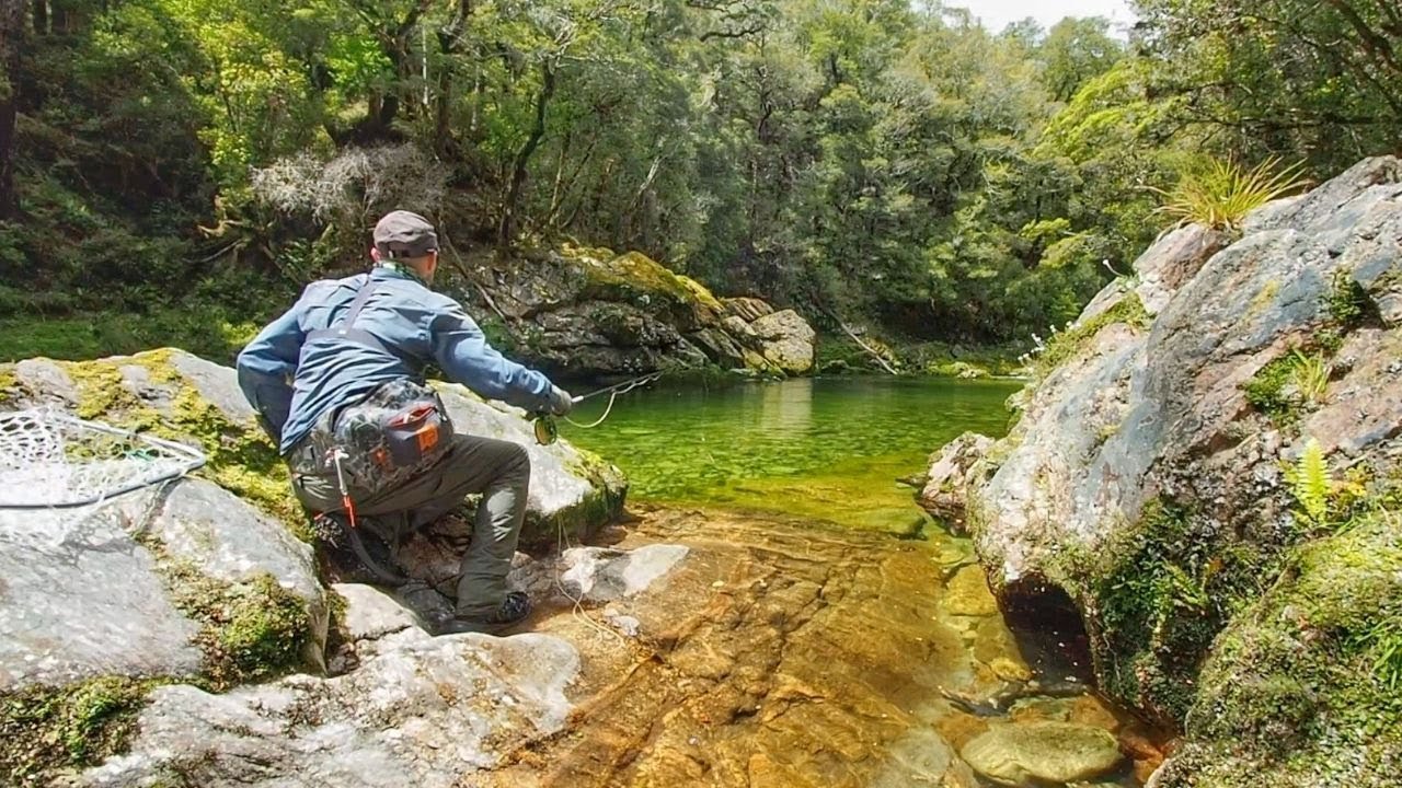 Рыбалка на удалённой реке на суперсложную форель — Часть 2