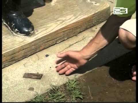 ბულვარში არსებულ ე.წ. „აბლაბუდა“  რეაბილიტაციას საჭიროებს