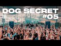 Dubdogz - DOG SECRET - #05 (Ponte Hercílio Luz | Floripa - SC)