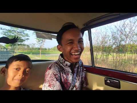 Kenangan Bersama Almarhum Bapak || Jalan-Jalan sore