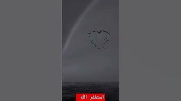 القرآن الكريم❤️سورة الرحمن#تلاوة فوق الوصف