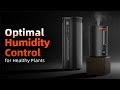 Spider Farmer 6L & 16L Humidifiers | Perfect Humidity for Your Grow Room | Cool Mist Humidifier