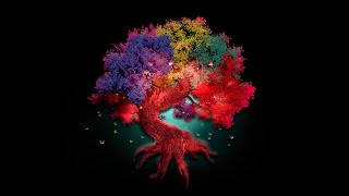Fantasy Tree Creator - Feature Video