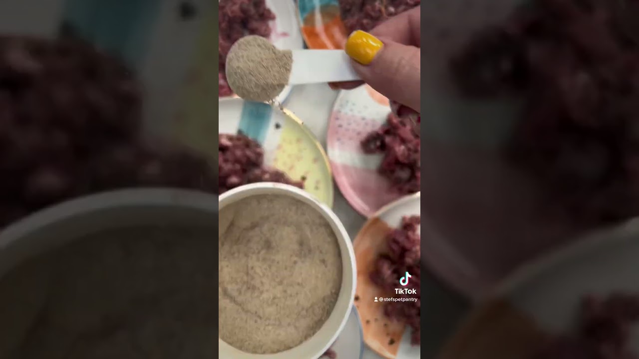 Feeding the dogs, they are so excited for dinner