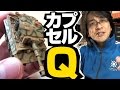 【ガチャ】タイガー迷彩塗装バージョン！海洋堂ワールドタンクデフォルメ ドイツ機甲師団編