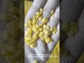 breakfast cereal corn fllakes processing line #machine #factoryproducts #factory