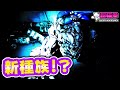Destiny2 | 大興奮！選士のシーズントレーラーが来たぁぁぁ！[超猫拳ゲームズ][SNP Games][デスティニー2]