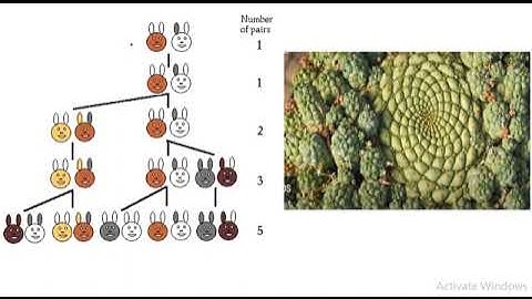 Maths Grade 12 unit 1 part 1 based on new curriculum  sequence and series