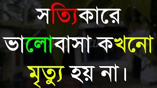 সত্যিকারে ভালোবাসা -Life Changing Motivational Quotes in Bengali | Monishider Bani Kotha By MB Diary