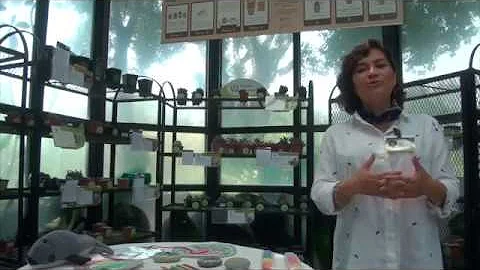 JB 2018 Linda Balcazar Visita guiada para adultos ...