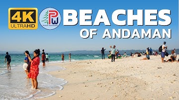 Best Beaches of Andaman | Radhanagar | Kala Pathar | Elephanta | Pahari Wanderer | 4K | Travel Guide