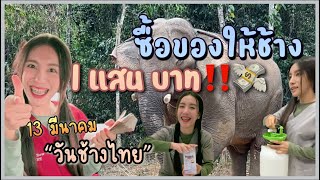 13 มีนาคม “วันช้างไทย” ซื้อของให้ช้าง 1 แสนบาท‼️ | หมอโบว์ หมอตัวเล็กกับคนไข้ตัวใหญ่