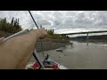 Moose Hunt on the Yukon 2016