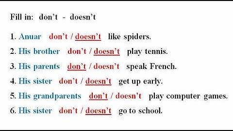 Excel 5 Module 3 Present Simple ex 7 p 37