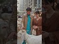 آج ہم قربانی کے لیے جانور لینے جا رہے ہیں | AI Couple