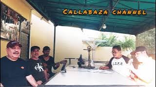 COBA - COBA BETA TANYA Cover by Callabaza