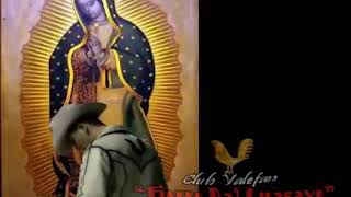 Valentin Elizalde - Mi Virgencita