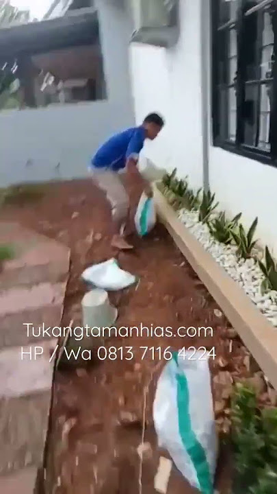 Hias Pot Depan Teras Rumah Dengan Pohon Sinsivera #jasatukangtaman #rumahidaman #tukangtaman