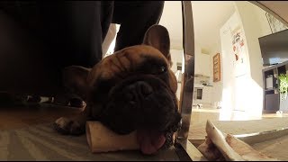Vlog - Short but Sweet