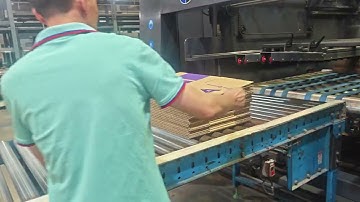 4SDF-Automatic High-speed Flexo Printer Slotter Die-Cutter Inline Folder Gluer  #flexo #printer