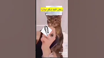 طاهر القلب نقي ذاكر لله 