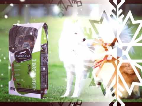 Video: Natura Espande I Richiami Per Animali Domestici Innova Cat And Dog Food