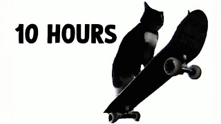 Skateboard Cat 10 Hours