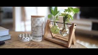 Noel Jones Wantirna Presents 26 Rodleigh Street CROYDON