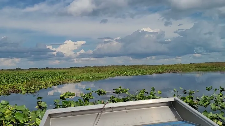 Kissimmee Swamp Airboat Tour