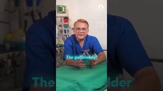 Can your body function normally without a gallbladder
