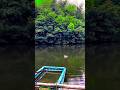 Most Unique Fishing Bait Best Fish Catching Video Ever #fishing
