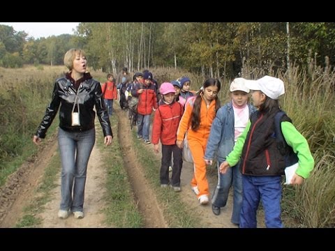 Уроки для начальных классов. Пишем сочинение в лесу