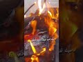 وصيت قلبي عليك وفكري وظني راشد الماجد وصيت قلبي عليك وفكري وظني راشد الماجد