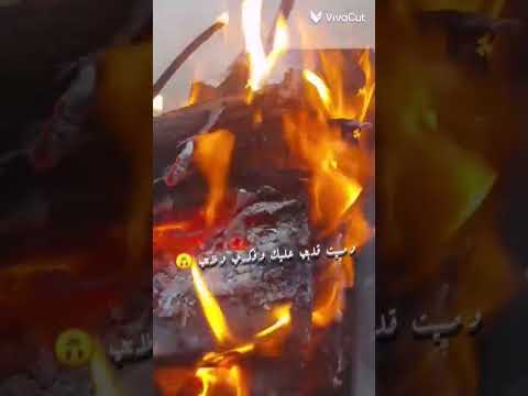 وصيت قلبي عليك وفكري وظني راشد الماجد